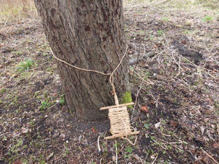 Obstbaumscheibenpflege