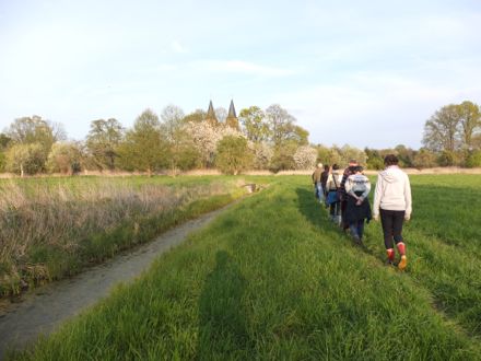 Vogelwanderung